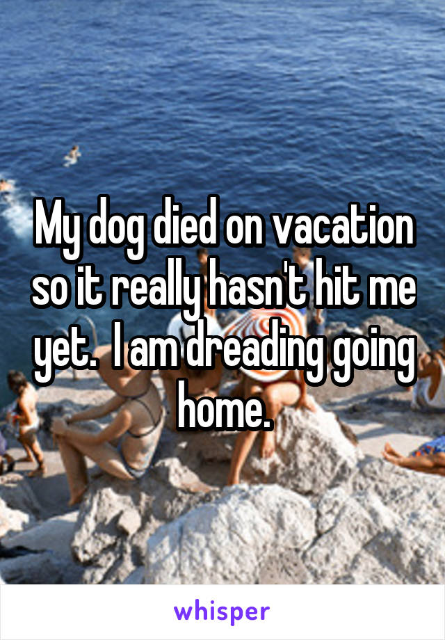 My dog died on vacation so it really hasn't hit me yet.  I am dreading going home.