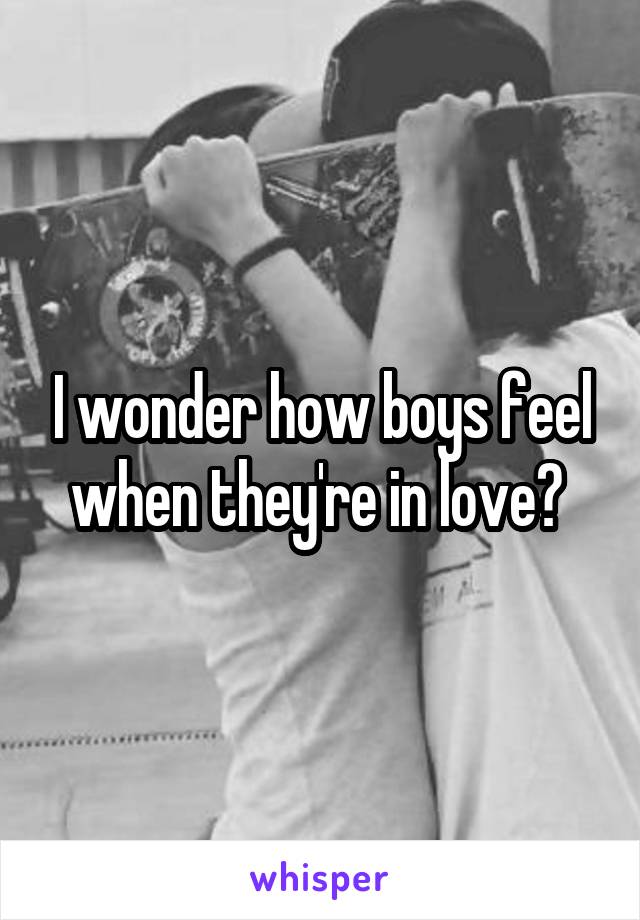 I wonder how boys feel when they're in love? 