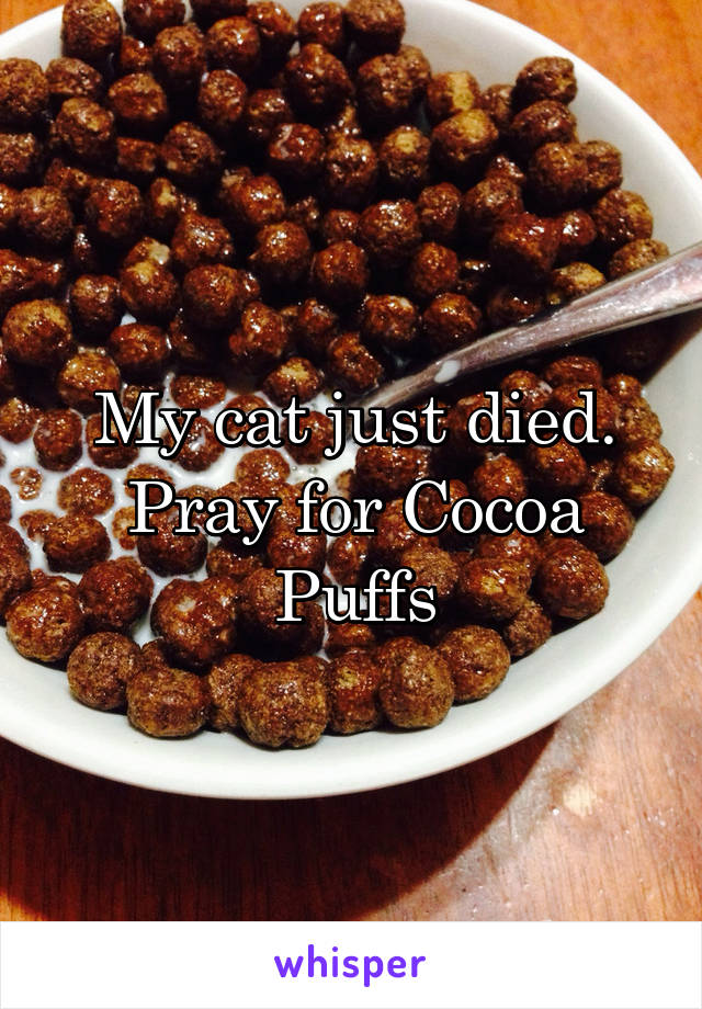 My cat just died.
Pray for Cocoa Puffs