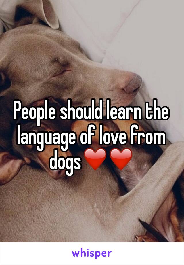 People should learn the language of love from dogs❤️❤️