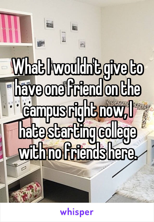 What I wouldn't give to have one friend on the campus right now, I hate starting college with no friends here.