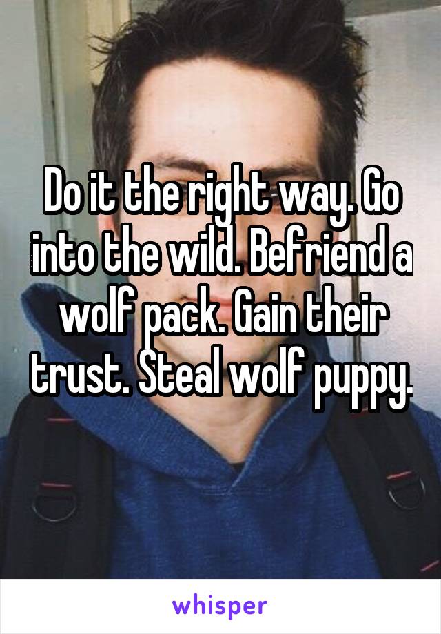 Do it the right way. Go into the wild. Befriend a wolf pack. Gain their trust. Steal wolf puppy. 