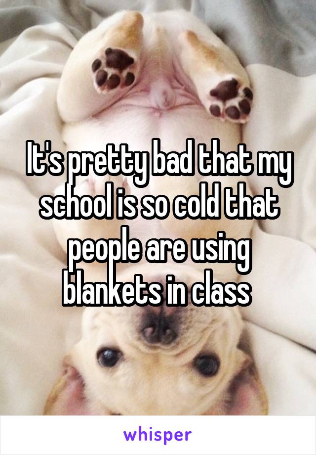 It's pretty bad that my school is so cold that people are using blankets in class 