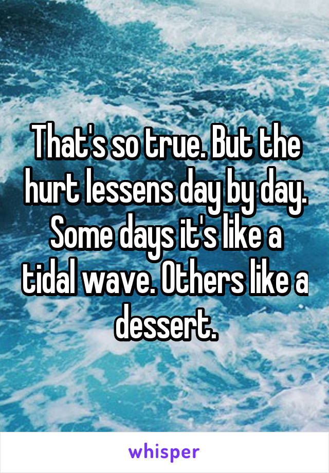 That's so true. But the hurt lessens day by day. Some days it's like a tidal wave. Others like a dessert.