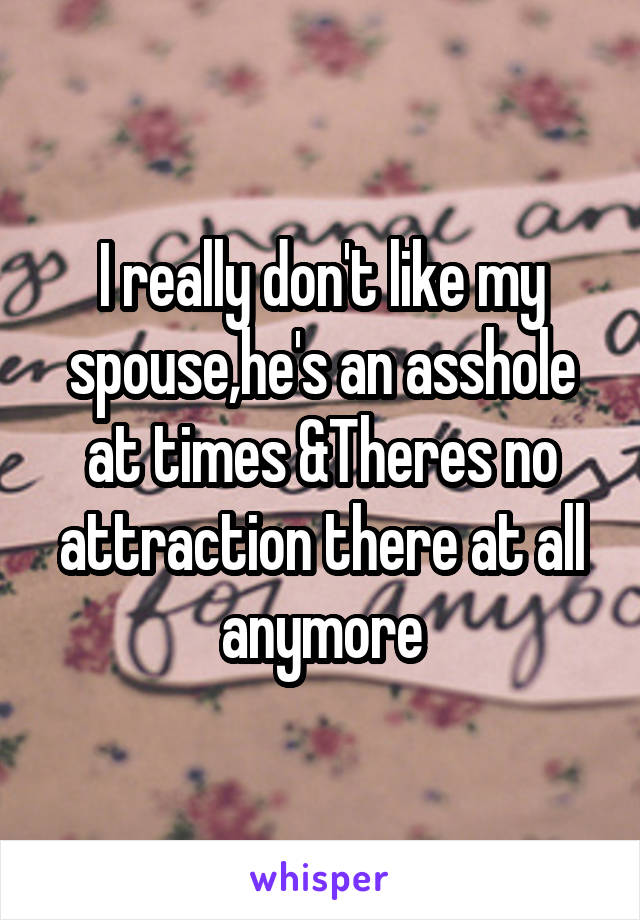 I really don't like my spouse,he's an asshole at times &Theres no attraction there at all anymore