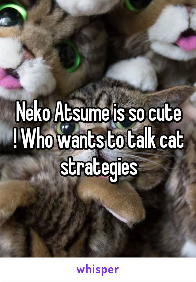 Neko Atsume is so cute ! Who wants to talk cat strategies