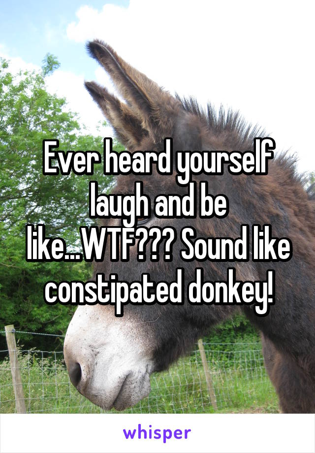 Ever heard yourself laugh and be like...WTF??? Sound like constipated donkey!