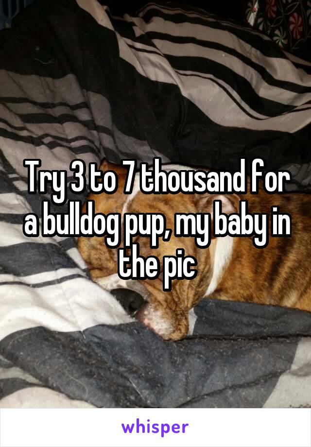 Try 3 to 7 thousand for a bulldog pup, my baby in the pic