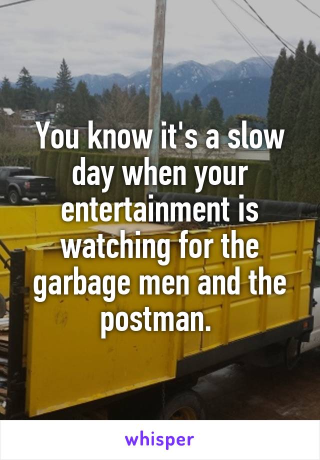 You know it's a slow day when your entertainment is watching for the garbage men and the postman. 