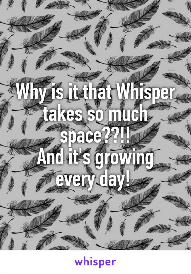 Why is it that Whisper takes so much space??!!
And it's growing every day! 