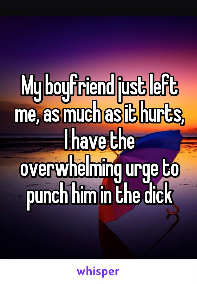 My boyfriend just left me, as much as it hurts, I have the overwhelming urge to punch him in the dick