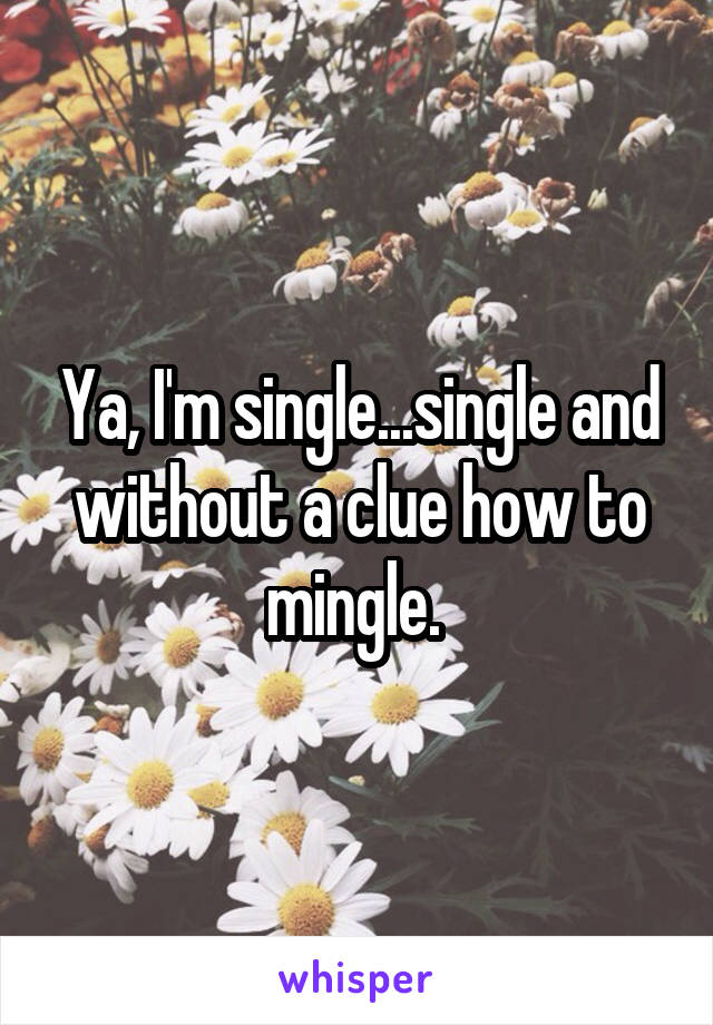 Ya, I'm single...single and without a clue how to mingle. 