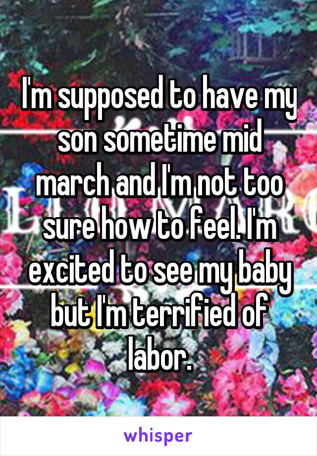 I'm supposed to have my son sometime mid march and I'm not too sure how to feel. I'm excited to see my baby but I'm terrified of labor.