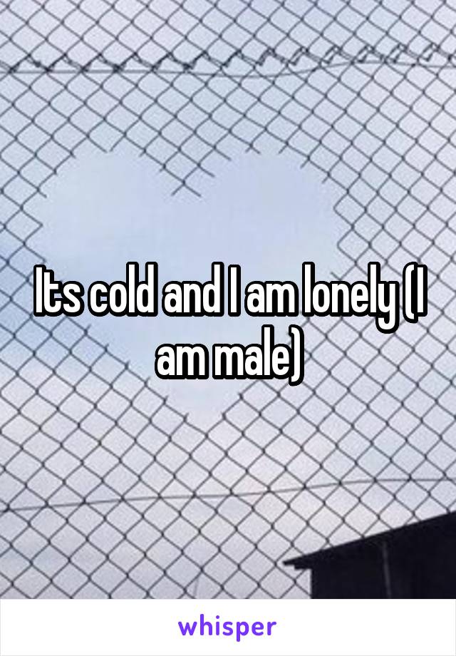 Its cold and I am lonely (I am male)