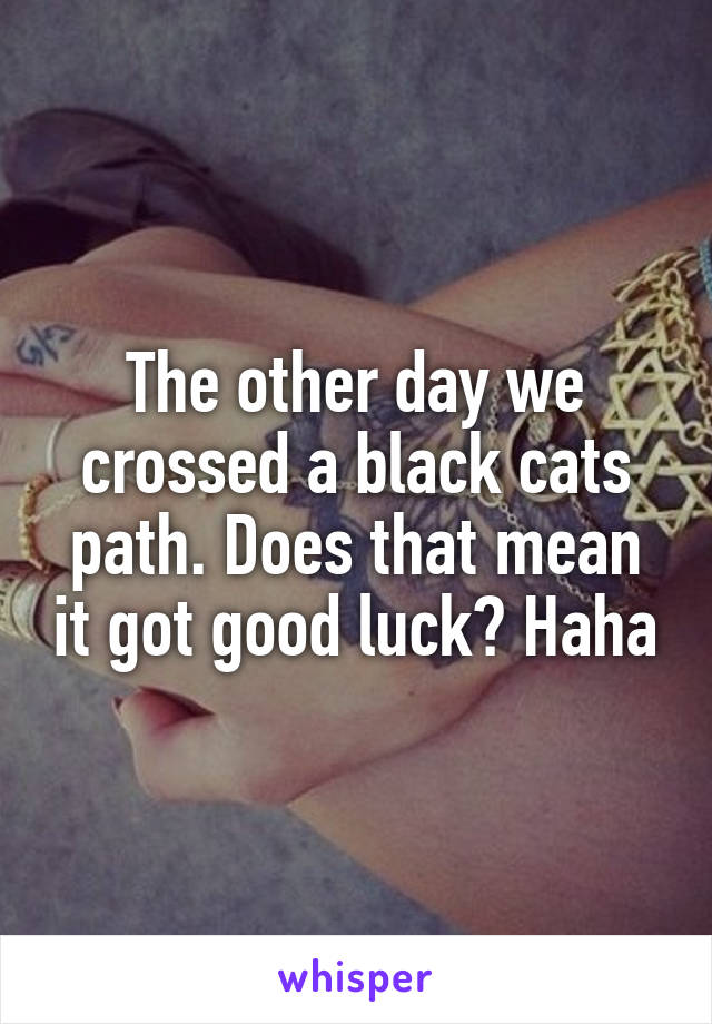 The other day we crossed a black cats path. Does that mean it got good luck? Haha