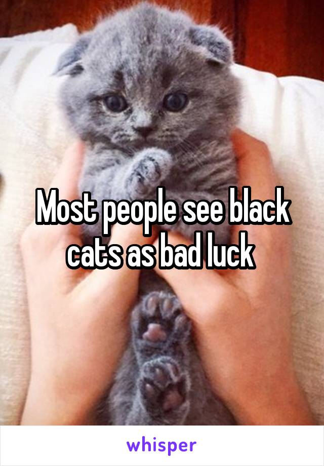 Most people see black cats as bad luck 