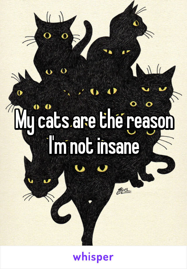 My cats are the reason I'm not insane