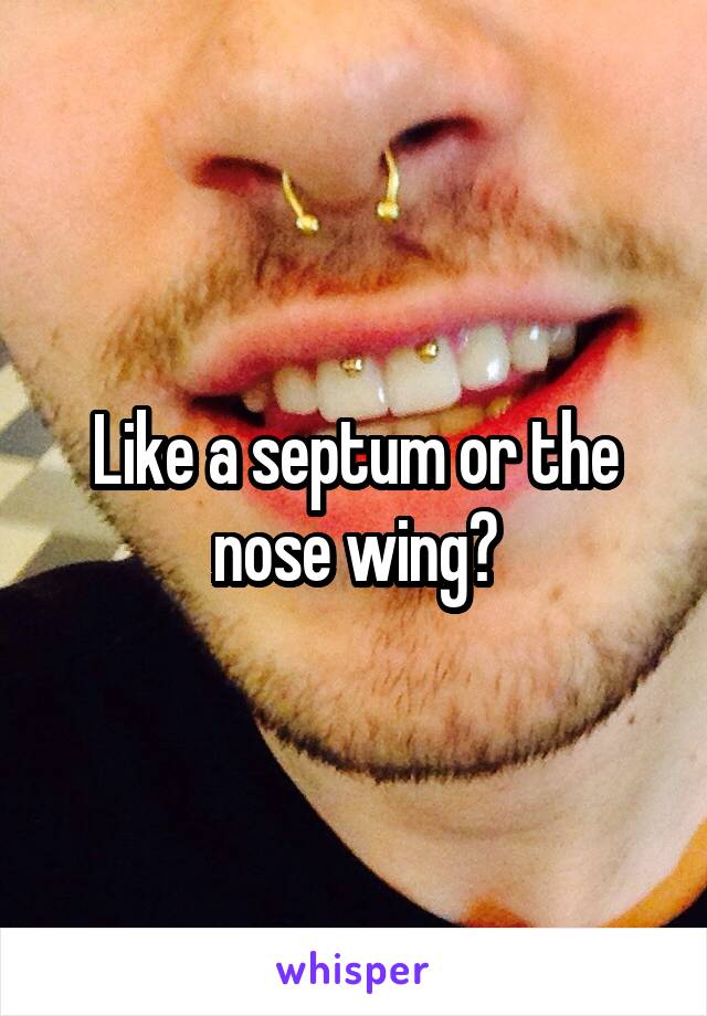 Like a septum or the nose wing?