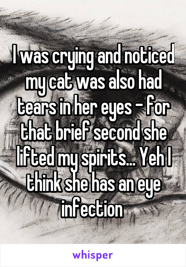 I was crying and noticed my cat was also had tears in her eyes - for that brief second she lifted my spirits... Yeh I think she has an eye infection 