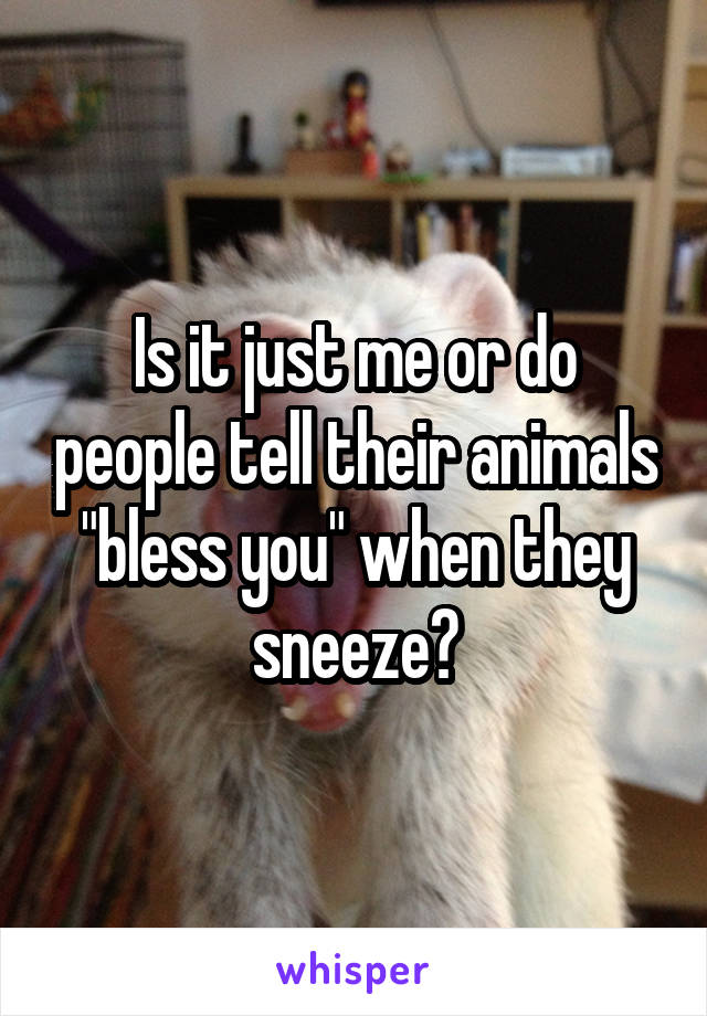 Is it just me or do people tell their animals "bless you" when they sneeze?