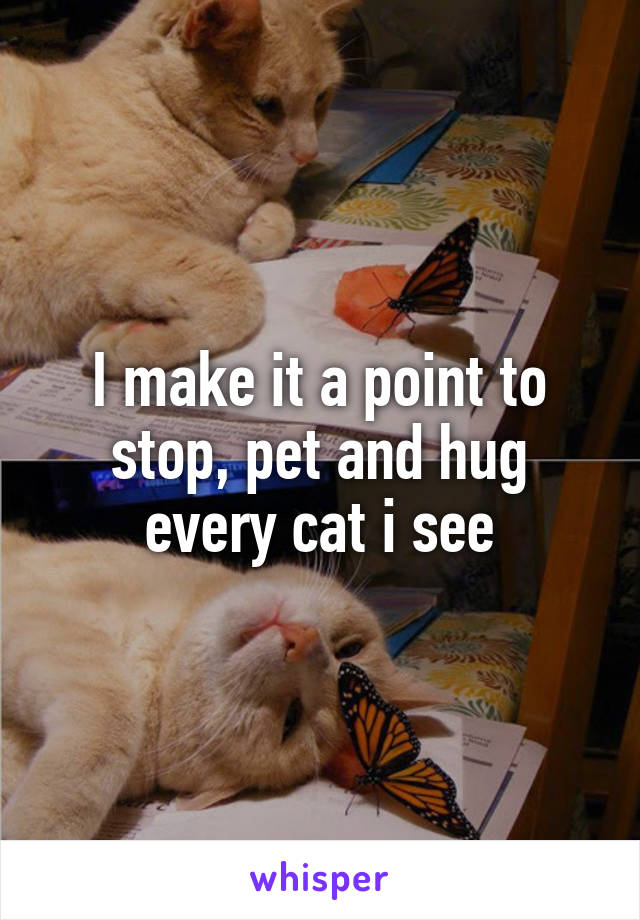 I make it a point to stop, pet and hug every cat i see