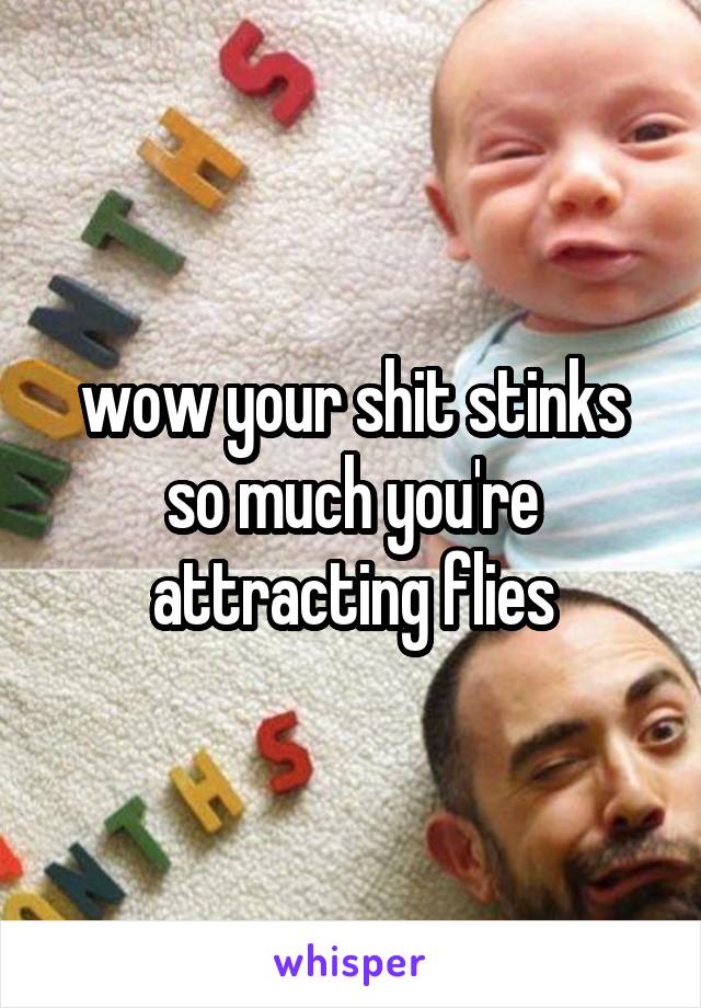 wow your shit stinks so much you're attracting flies