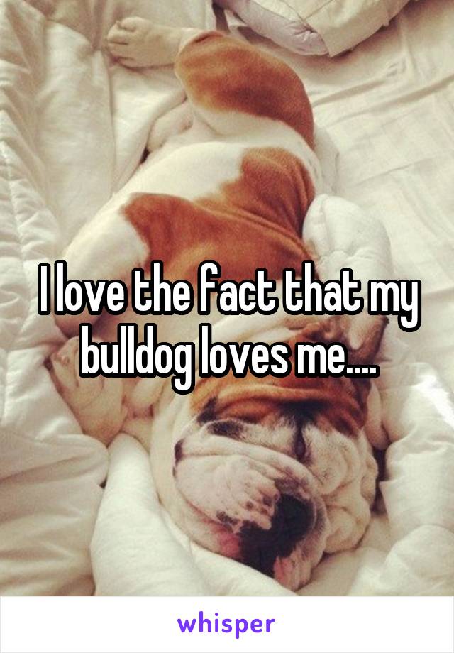 I love the fact that my bulldog loves me....