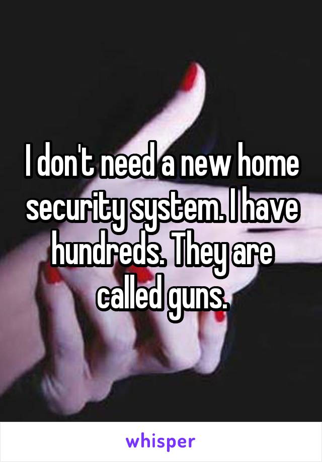 I don't need a new home security system. I have hundreds. They are called guns.