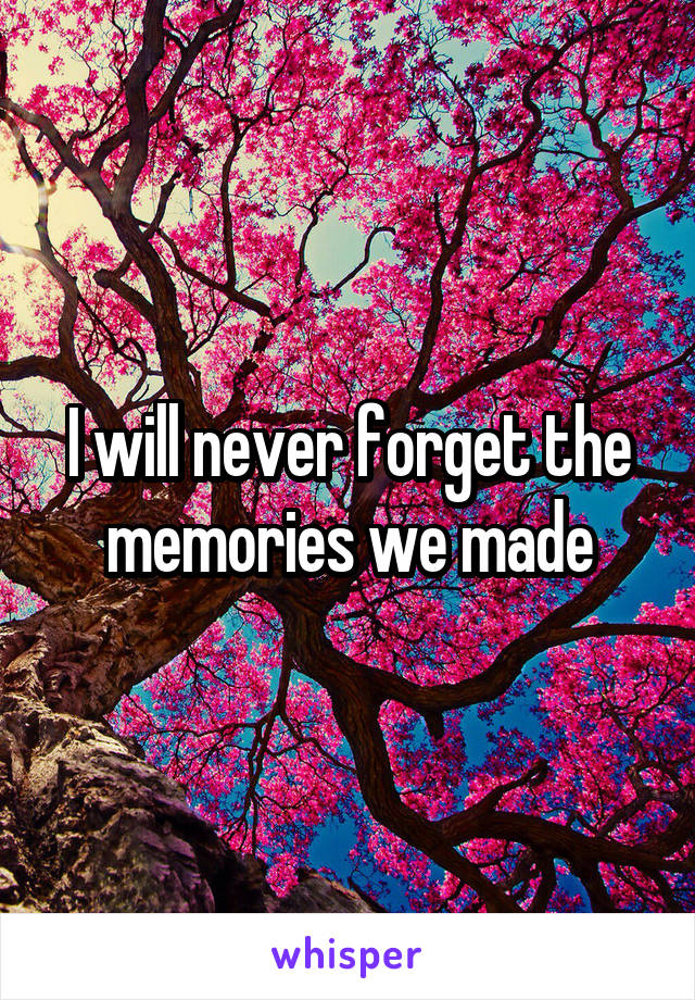 I will never forget the memories we made