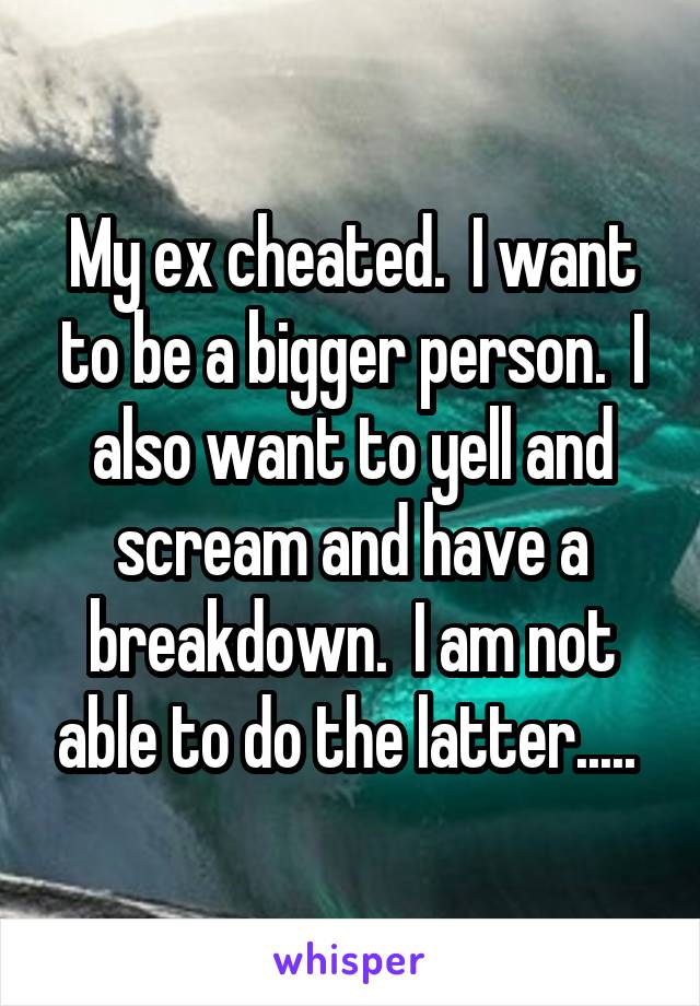 My ex cheated.  I want to be a bigger person.  I also want to yell and scream and have a breakdown.  I am not able to do the latter..... 