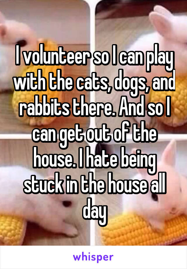 I volunteer so I can play with the cats, dogs, and rabbits there. And so I can get out of the house. I hate being stuck in the house all day