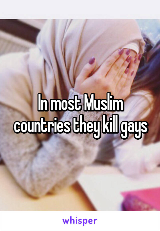 In most Muslim countries they kill gays