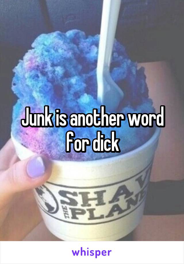 Junk is another word for dick