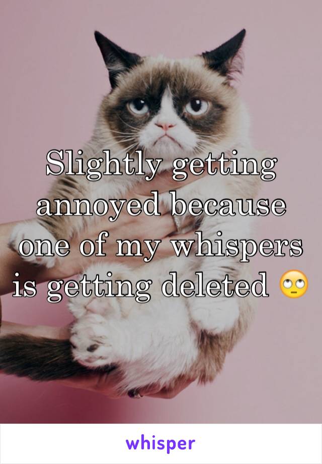 Slightly getting annoyed because one of my whispers is getting deleted 🙄