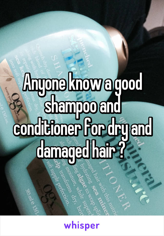 Anyone know a good shampoo and conditioner for dry and damaged hair ? 