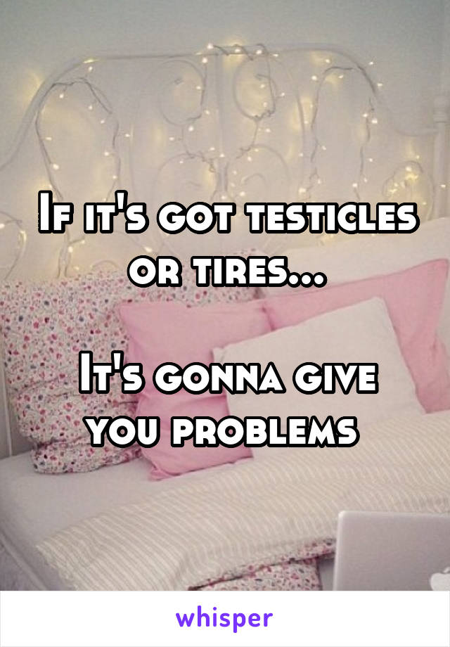 If it's got testicles or tires...

It's gonna give you problems 