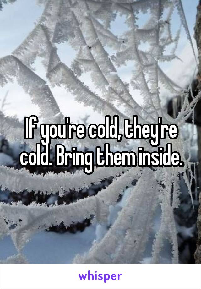 If you're cold, they're cold. Bring them inside.