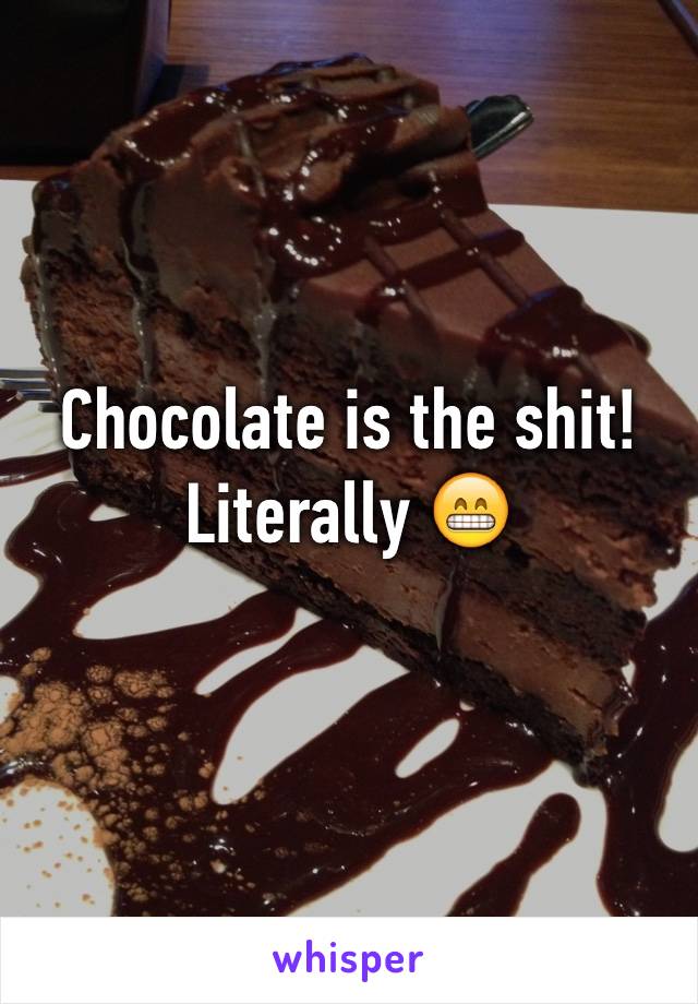 Chocolate is the shit! Literally 😁