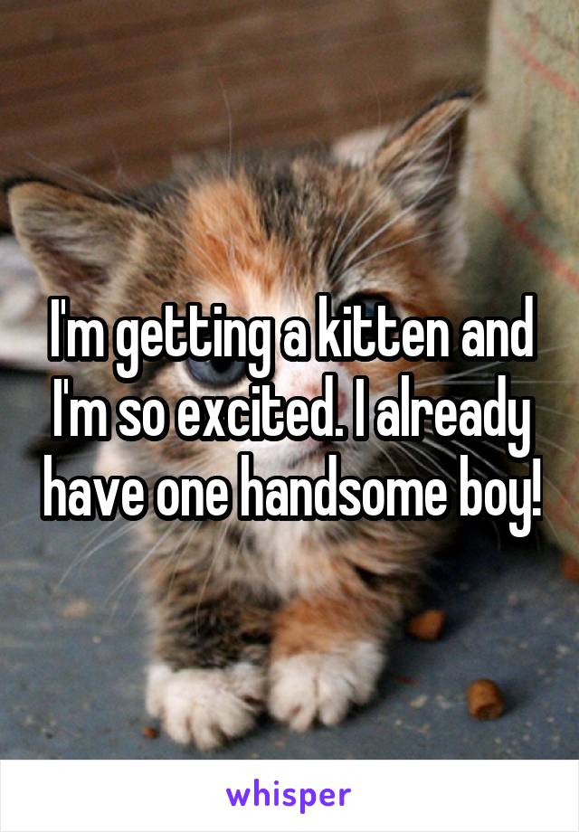 I'm getting a kitten and I'm so excited. I already have one handsome boy!