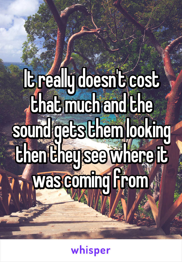 It really doesn't cost that much and the sound gets them looking then they see where it was coming from 