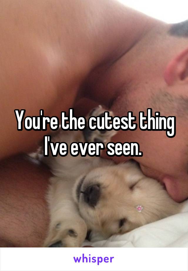 You're the cutest thing I've ever seen. 