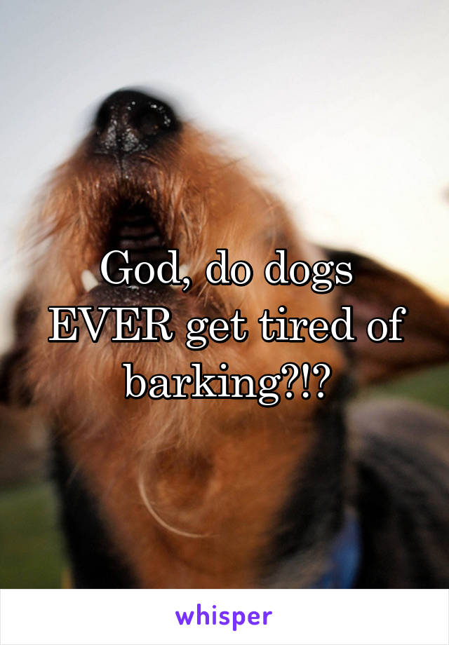 God, do dogs EVER get tired of barking?!?