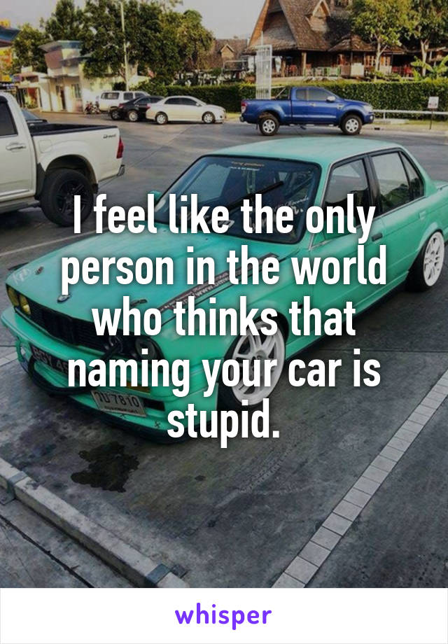 I feel like the only person in the world who thinks that naming your car is stupid.