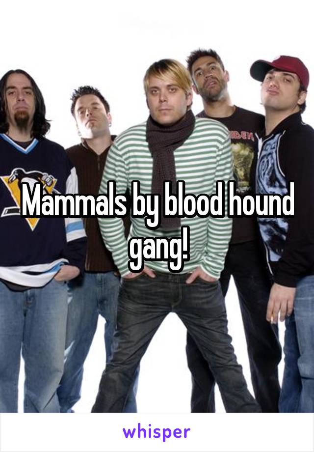 Mammals by blood hound gang!