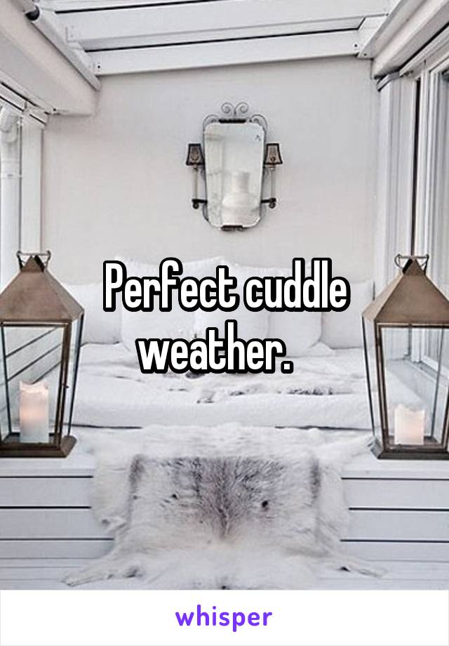 Perfect cuddle weather.   