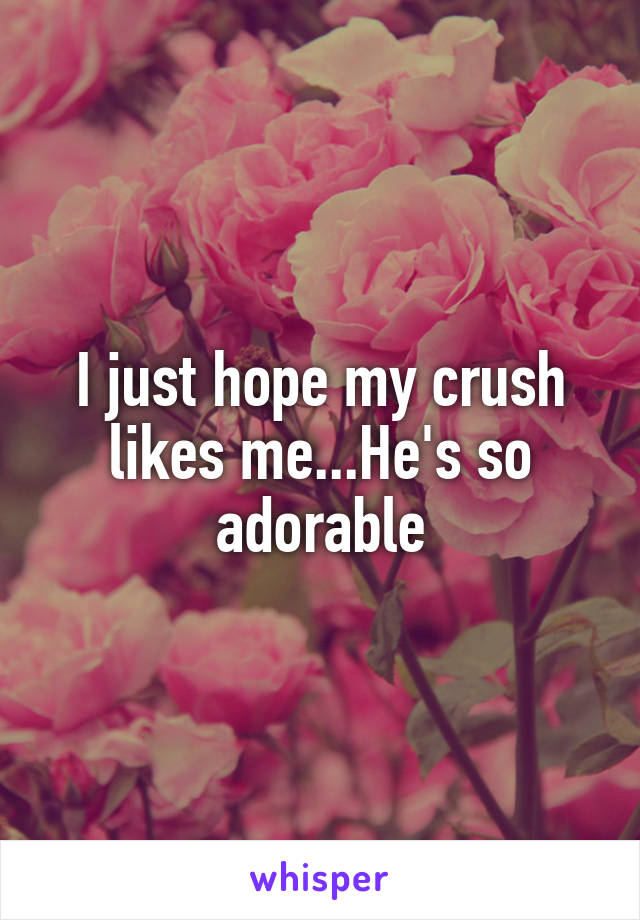 I just hope my crush likes me...He's so adorable