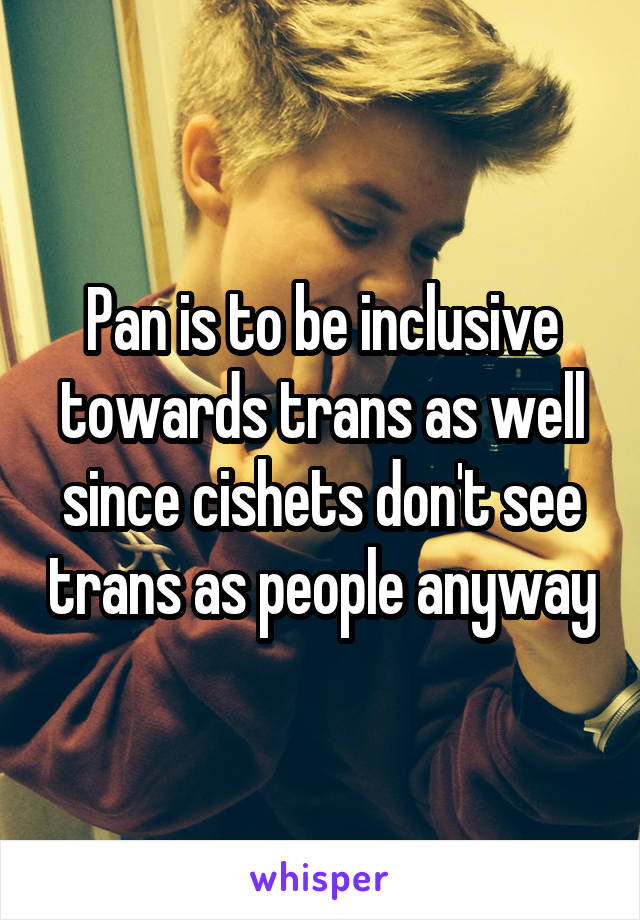 Pan is to be inclusive towards trans as well since cishets don't see trans as people anyway