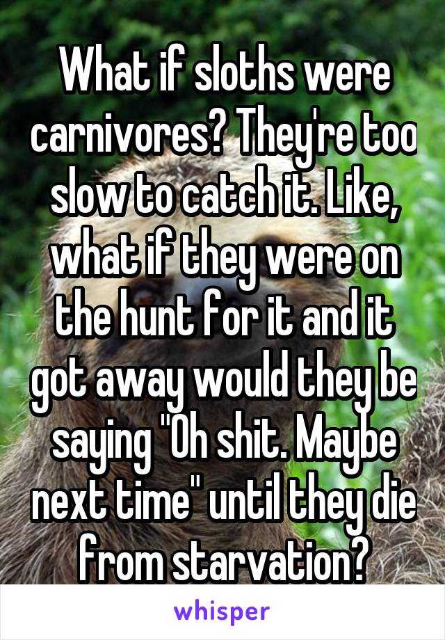 What if sloths were carnivores? They're too slow to catch it. Like, what if they were on the hunt for it and it got away would they be saying "Oh shit. Maybe next time" until they die from starvation?