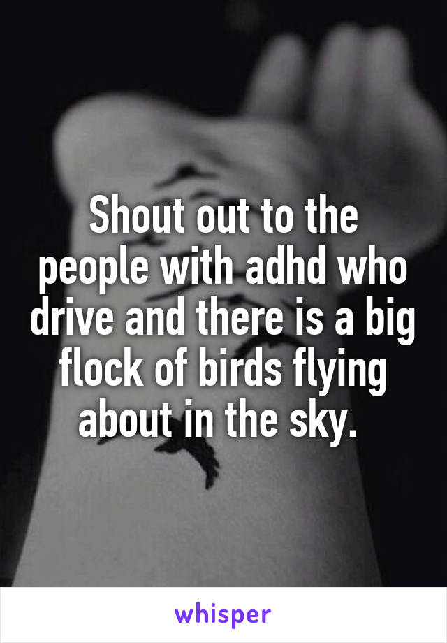 Shout out to the people with adhd who drive and there is a big flock of birds flying about in the sky. 