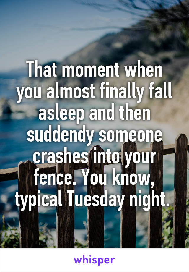 That moment when you almost finally fall asleep and then suddendy someone crashes into your fence. You know, typical Tuesday night. 